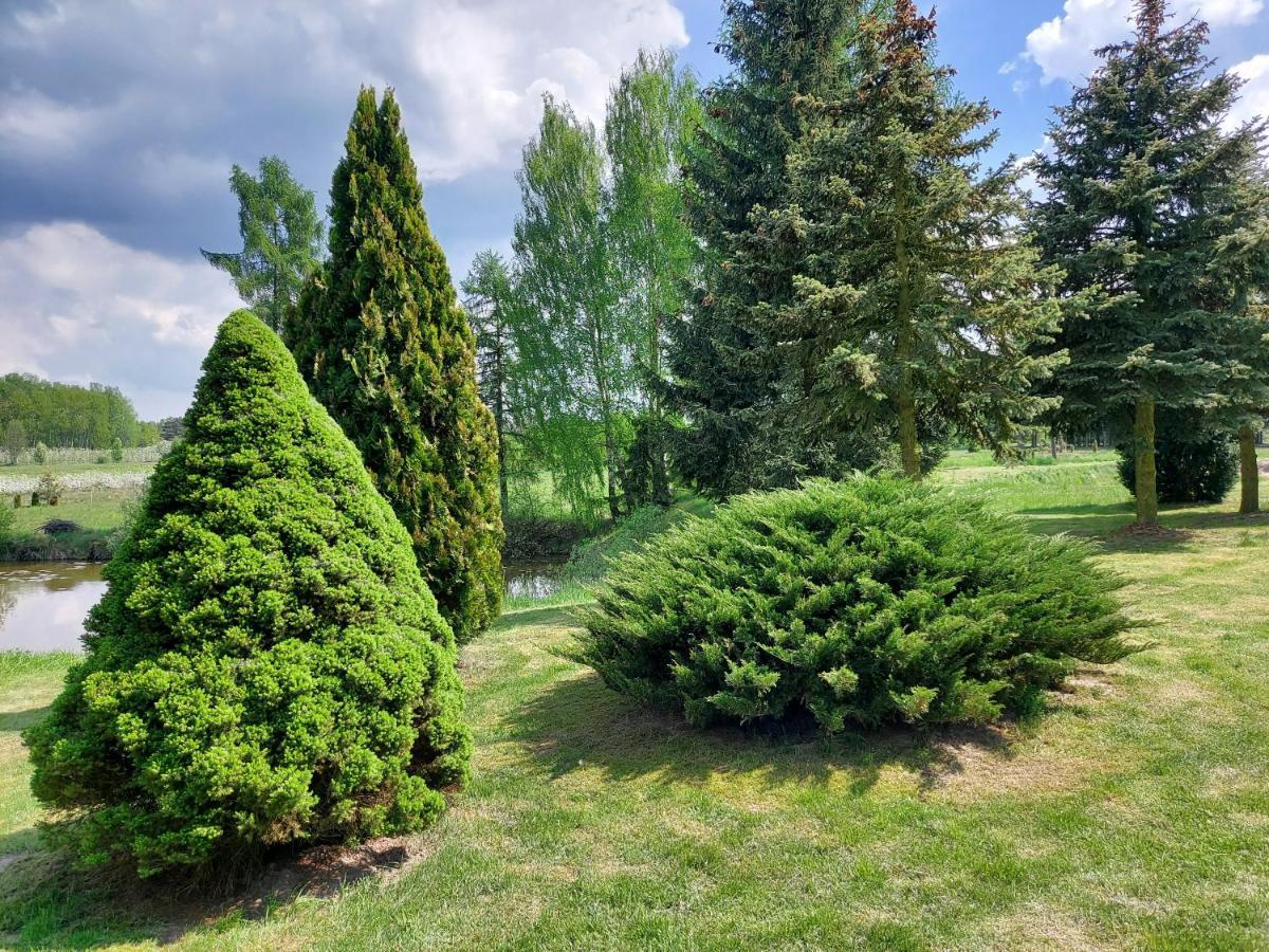 Dom Wakacyjny Z Ogromnym Ogrodem Witaszyn Buitenkant foto
