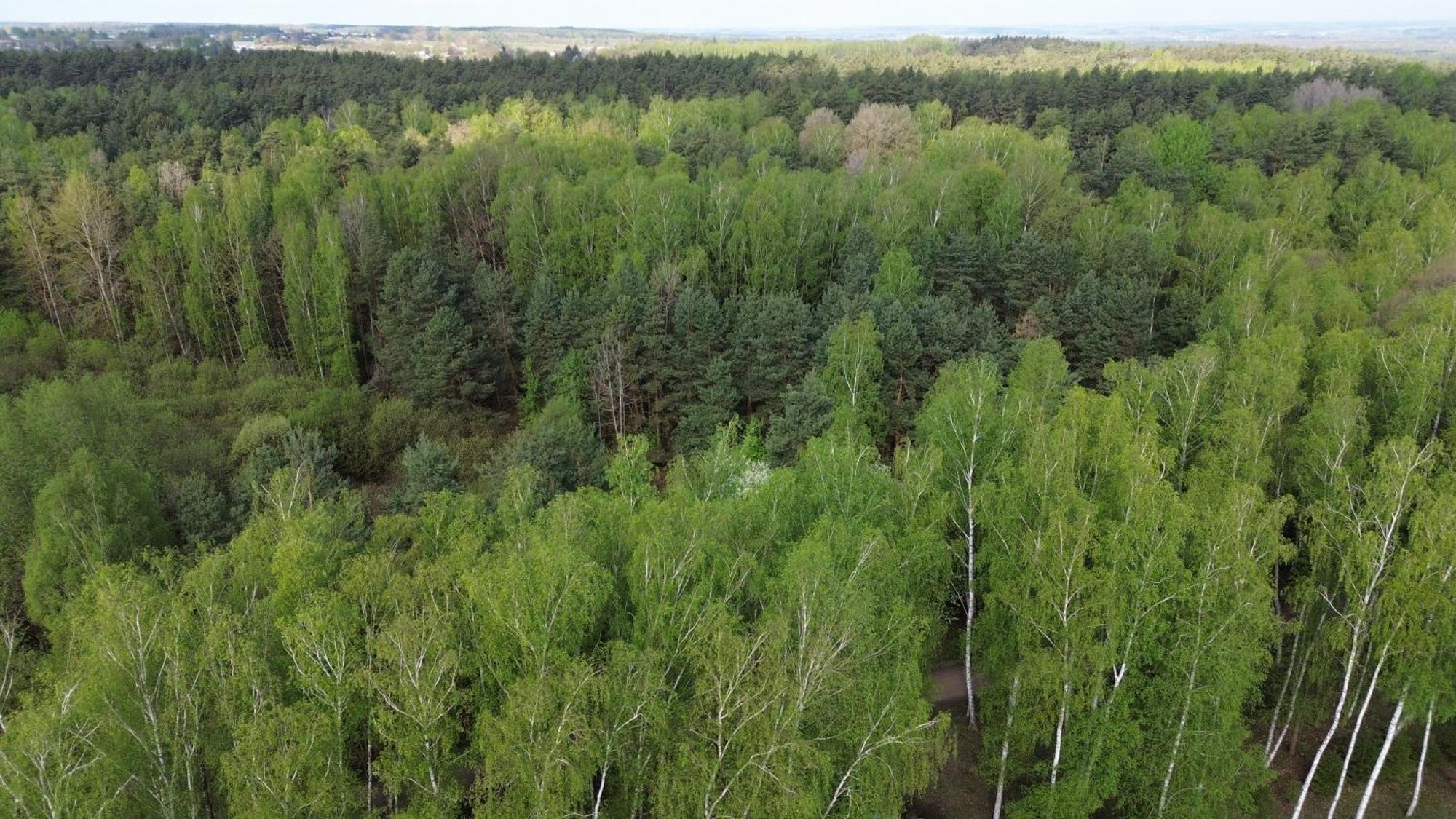 Dom Wakacyjny Z Ogromnym Ogrodem Witaszyn Buitenkant foto