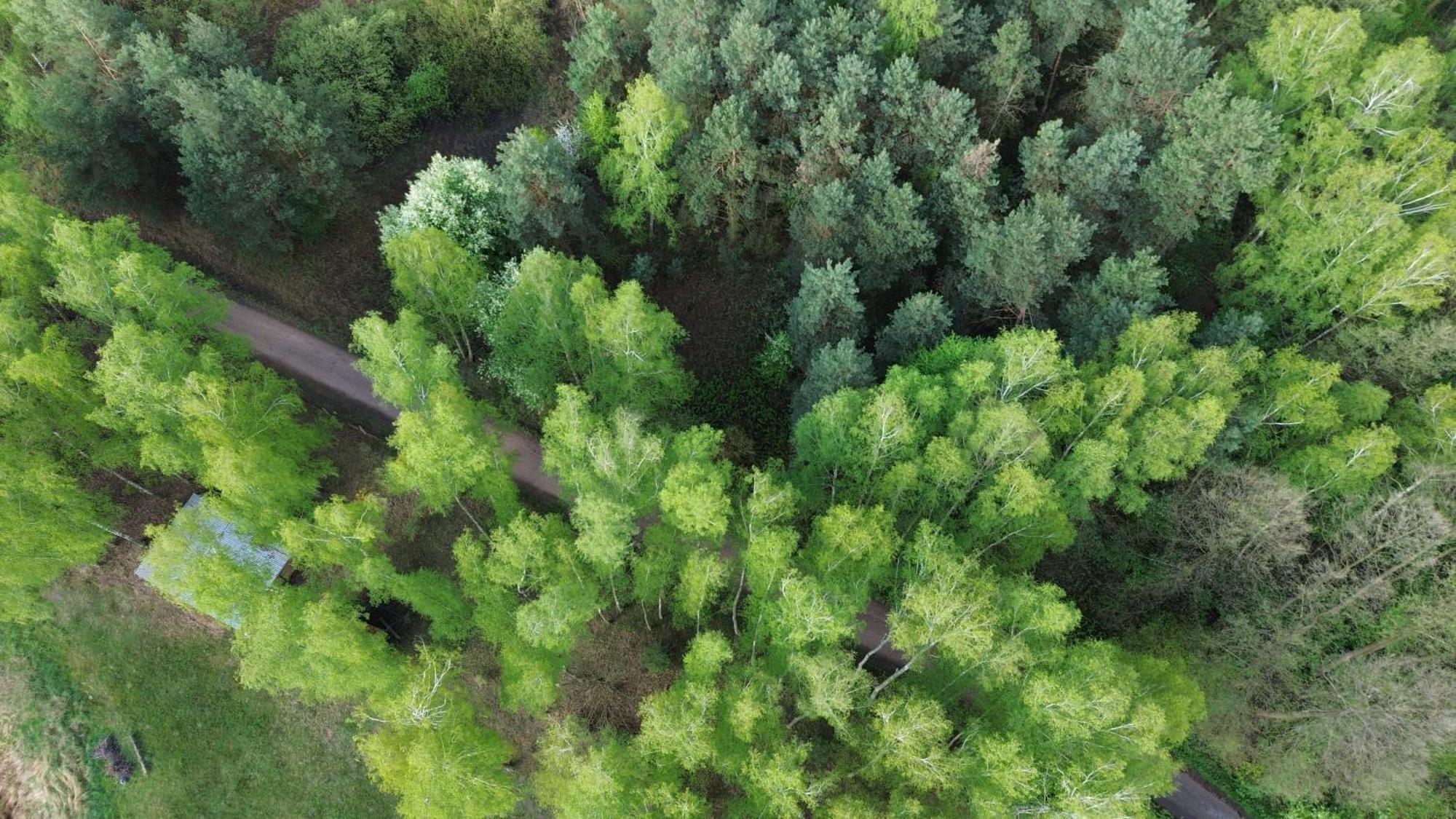Dom Wakacyjny Z Ogromnym Ogrodem Witaszyn Buitenkant foto