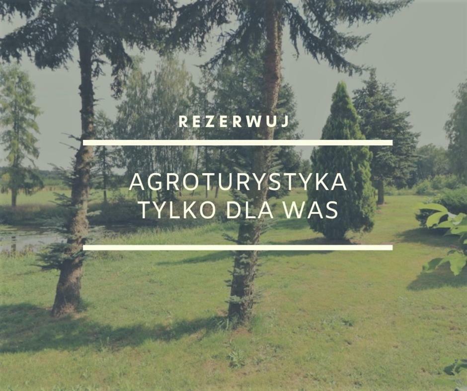 Dom Wakacyjny Z Ogromnym Ogrodem Witaszyn Buitenkant foto