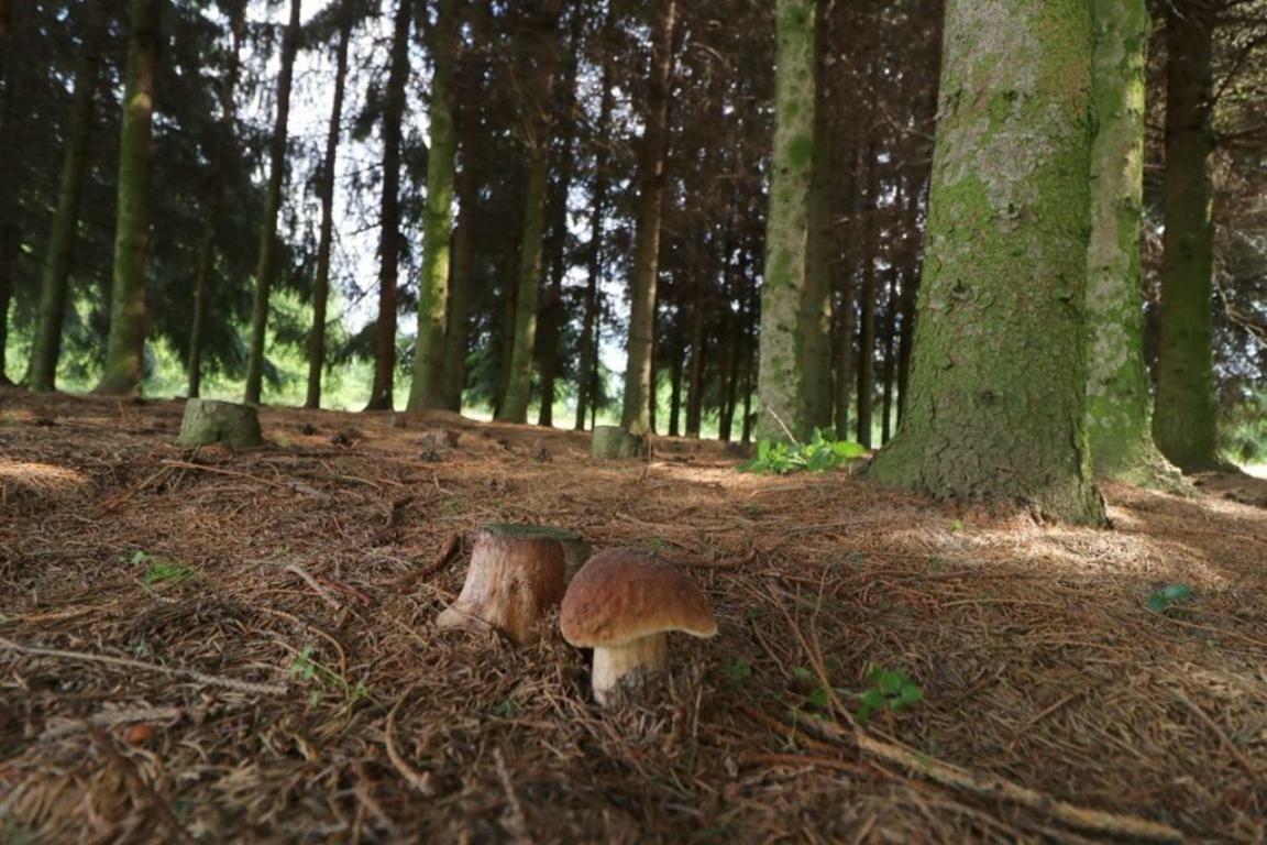 Dom Wakacyjny Z Ogromnym Ogrodem Witaszyn Buitenkant foto